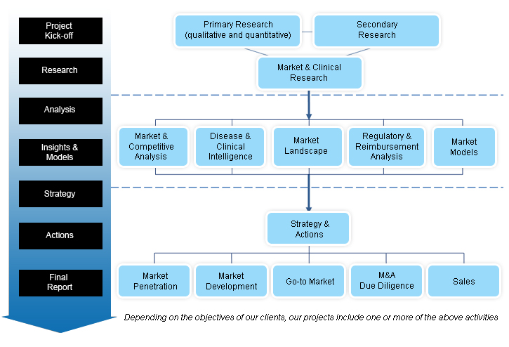 Project Process